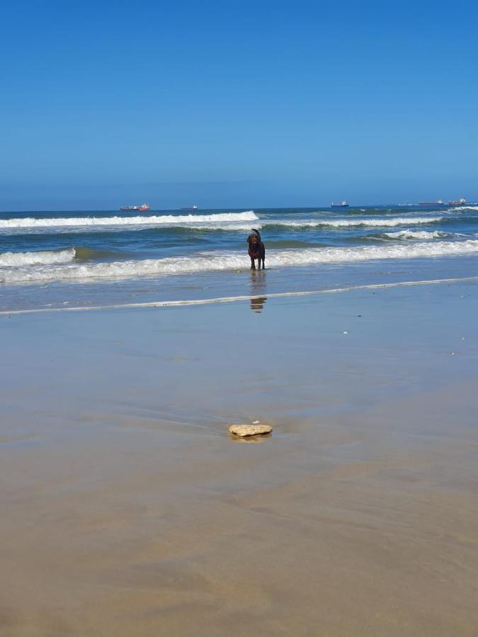 House Haven Guesthouse Port Elizabeth Ngoại thất bức ảnh